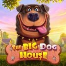 The Big Dog House